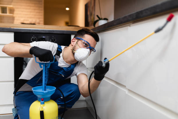 Best Pest Prevention Services  in Anahola, HI