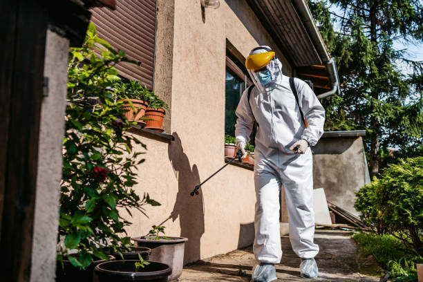 Best Flea Control Services  in Anahola, HI
