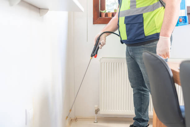 Best Local Pest Control Services  in Anahola, HI