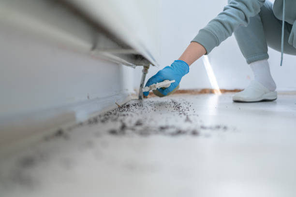 Best Commercial Pest Control Services  in Anahola, HI